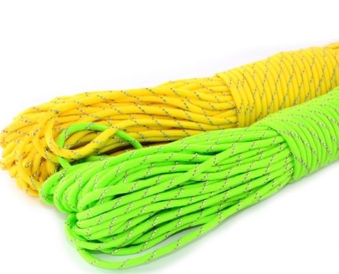 Type III 550 Polyester 4 mm Paracord avec 7 brins intérieurs 100 ft