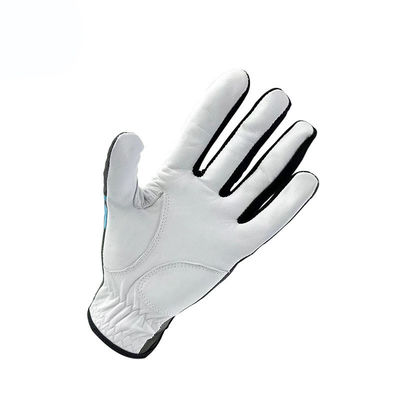 Garantie de retour de 30 jours Gants de golf en cuir Cabretta pour hommes FER647