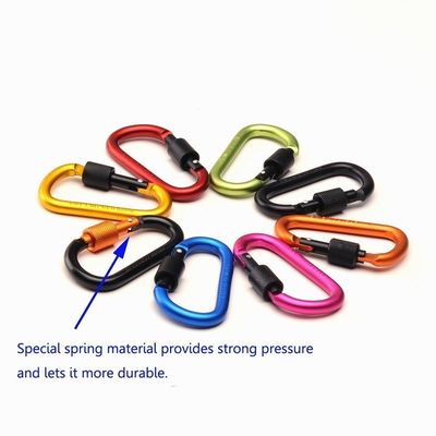 Clé en aluminium en forme D, clip à vis à serrure Gardez vos clés en sécurité